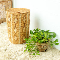 Large Neutral Woven Basket with Lid - with tan and cream accents - some fraying