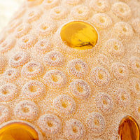 Midcentury Swag Pendant Lamp Frosted Amber Glass