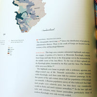 Turkish Kilim Hand Woven Rug (dyed with vegetable coloring)