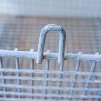 Frank D Cohan Incorporated Gym Locker Baskets (Sold Individually)