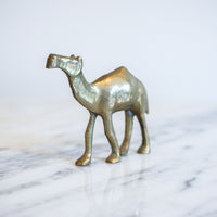 Vintage Solid Mini Brass Camel Pack (Set of 5)