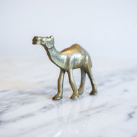 Vintage Solid Mini Brass Camel Pack (Set of 5)