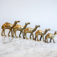 Vintage Solid Mini Brass Camel Pack (Set of 5)
