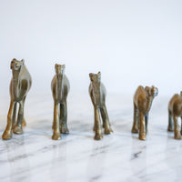 Vintage Solid Mini Brass Camel Pack (Set of 5)