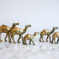 Vintage Solid Mini Brass Camel Pack (Set of 5)
