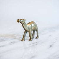 Vintage Solid Mini Brass Camel Pack (Set of 5)