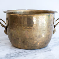 Hammered Brass Lion Planter with Decorative Handles