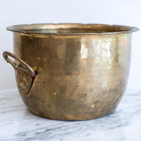 Hammered Brass Lion Planter with Decorative Handles