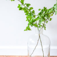 Clear Glass Jug Demijohn