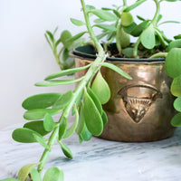 Hammered Brass Lion Planter with Decorative Handles