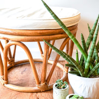 Large Vintage Woven Bentwood Bamboo Ottoman with White Cushion