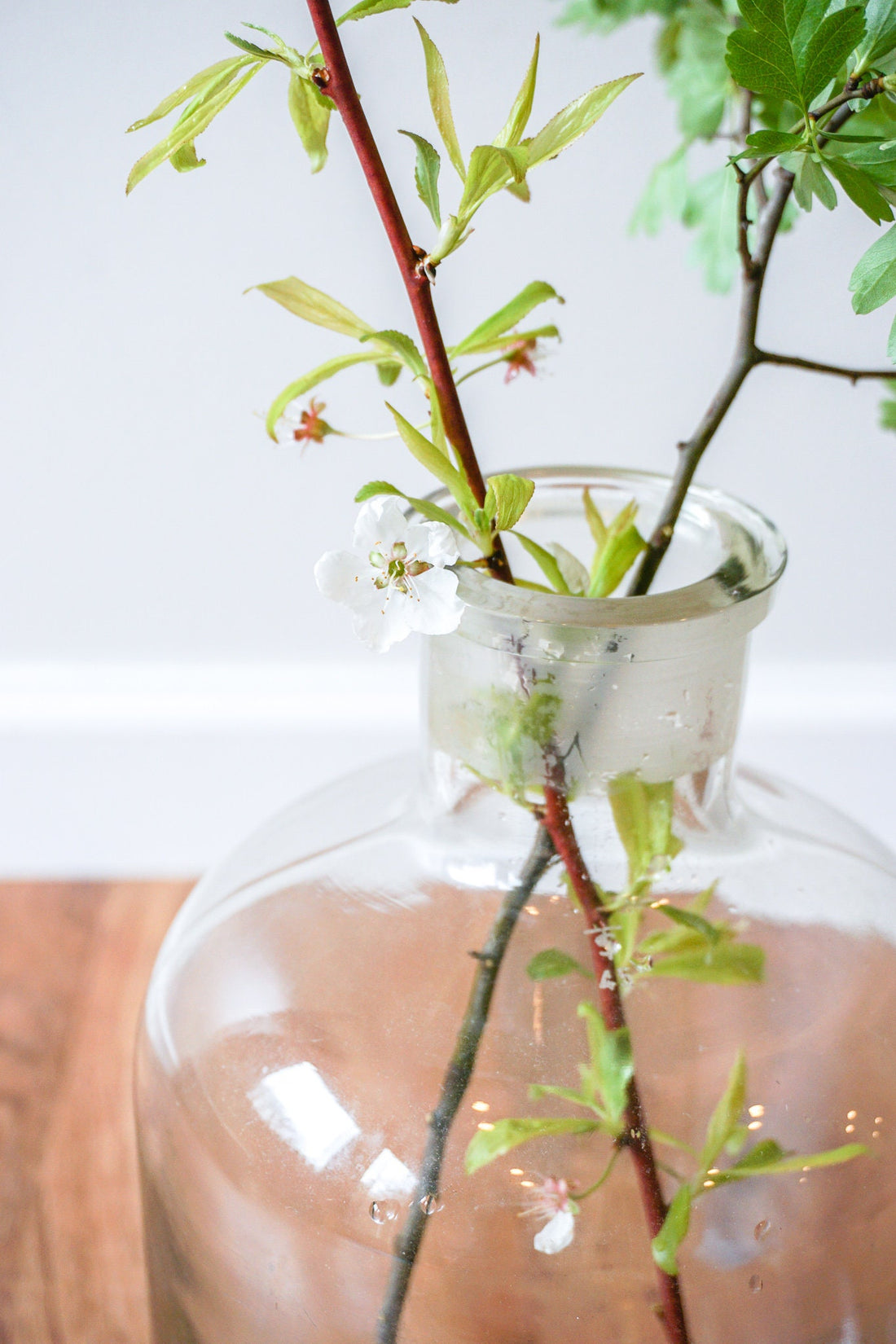 Clear Glass Jug Demijohn