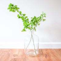 Clear Glass Jug Demijohn
