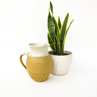 Ceramic Pitcher with Golden Tone Finishes