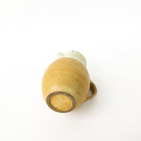 Ceramic Pitcher with Golden Tone Finishes