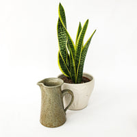 Greyish White Speckled Pottery Ceramic Pitcher with Rust Tones