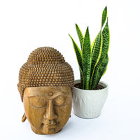 Wood Buddha Head Bali Style