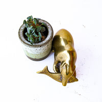 Brass Bear with Fish