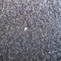 Pendleton Woolen Mills Reversible Beaver State Throw Camp Blanket