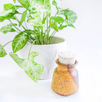 Ceramic Spice Jar with Cork Lid