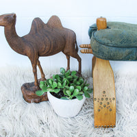Carved Wood Camel Statue Sculpture