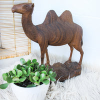 Carved Wood Camel Statue Sculpture