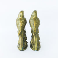 Brass Parrot Bookends