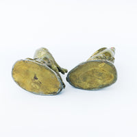 Brass Parrot Bookends
