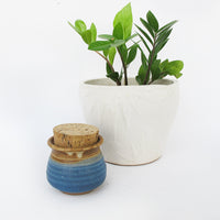 Ceramic Pottery Spice Jar with Cork Lid