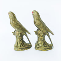 Brass Parrot Bookends
