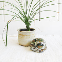 Ceramic Tonala Turtle From Mexico
