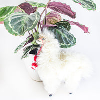 Peruvian Alpaca Stuffed Animal