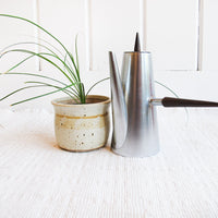 Midcentury Italian Stainless Steel Tea Coffee Pot with Rosewood Handles