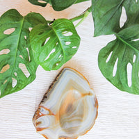 Agate Stone Tray - Made in Brazil