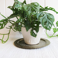 Hammered and Etched Brass Metal Tray