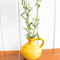 Dromore Pottery Ceramic Pitcher Vase