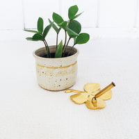 Four Leaf Clover Brass Tray with Pen Holder