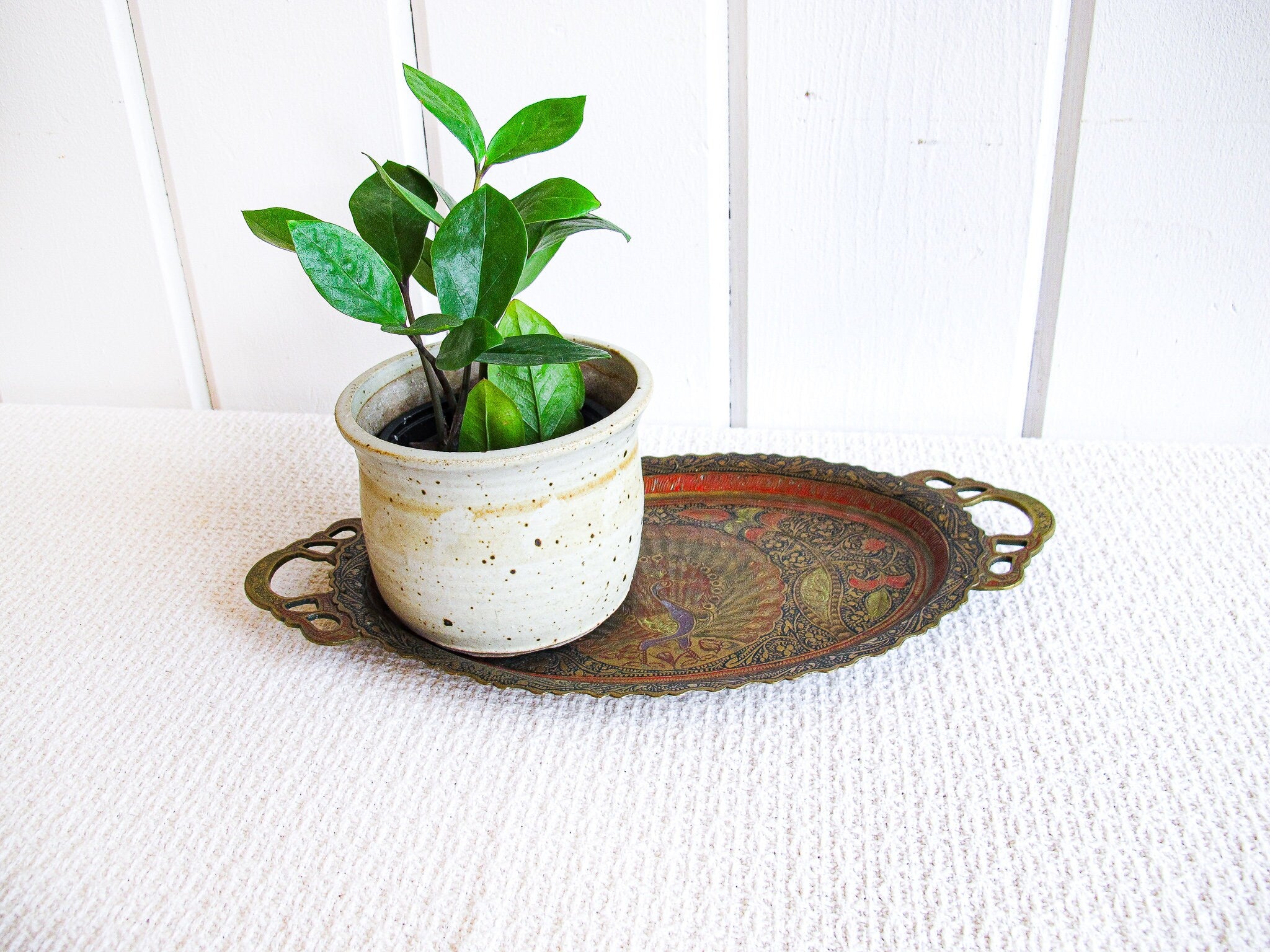 Enameled Brass Metal Peacock Tray – Portland Revibe