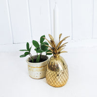 Brass Pineapple Box Made in India