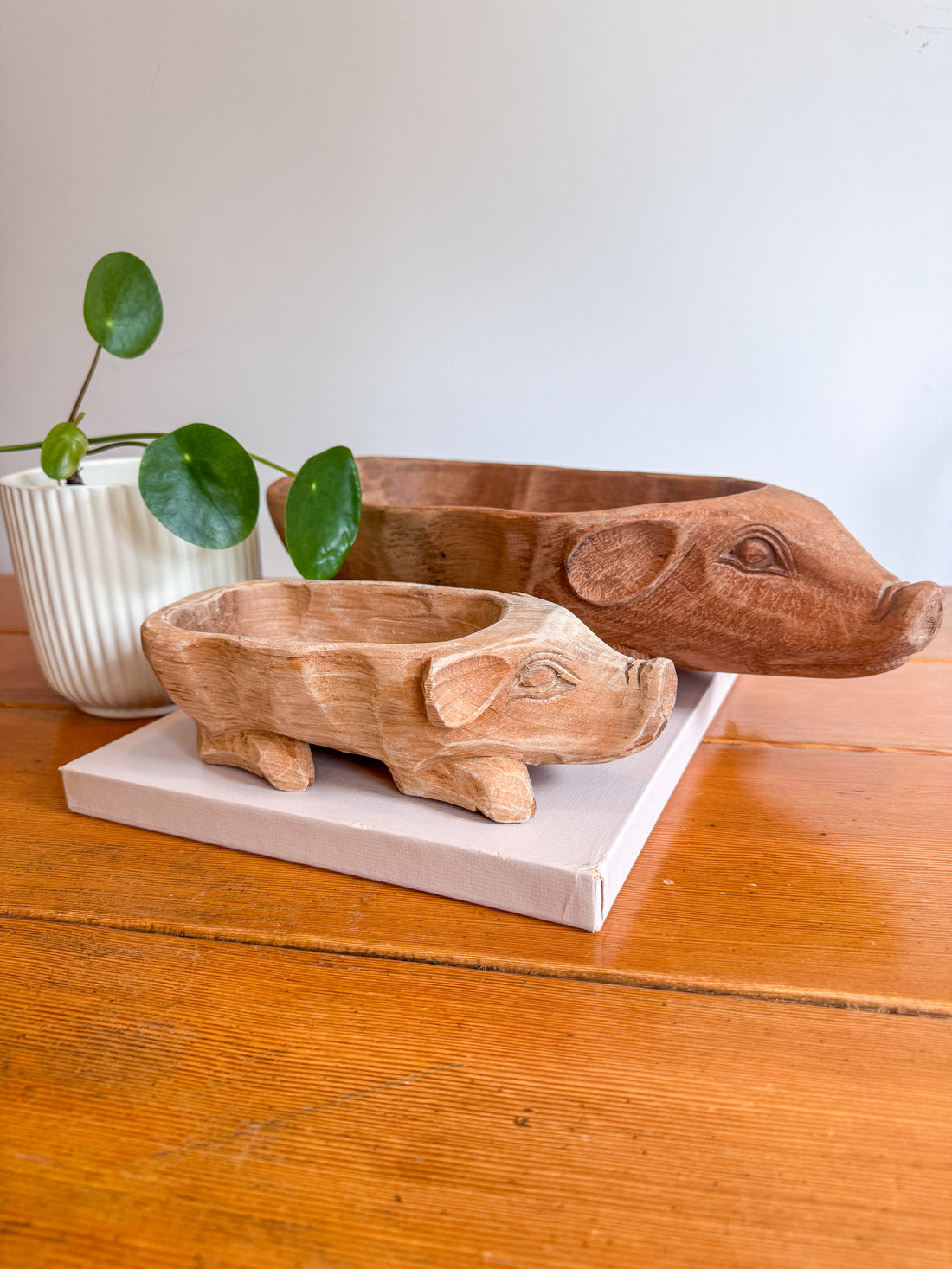 Two wooden pig-shaped planters on a wooden surface with a white background