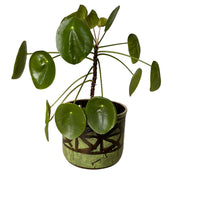 Midcentury Japanese Ceramic Hanging Plant Pot Green and Black