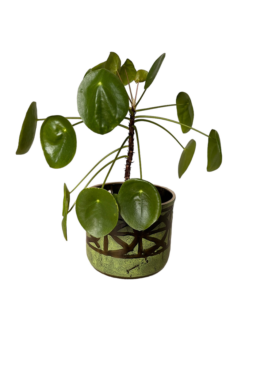 Midcentury Japanese Ceramic Hanging Plant Pot Green and Black