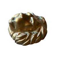 Large Brass European Lion Head Wall Mounted