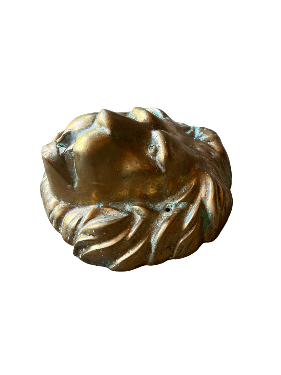 Large Brass European Lion Head Wall Mounted