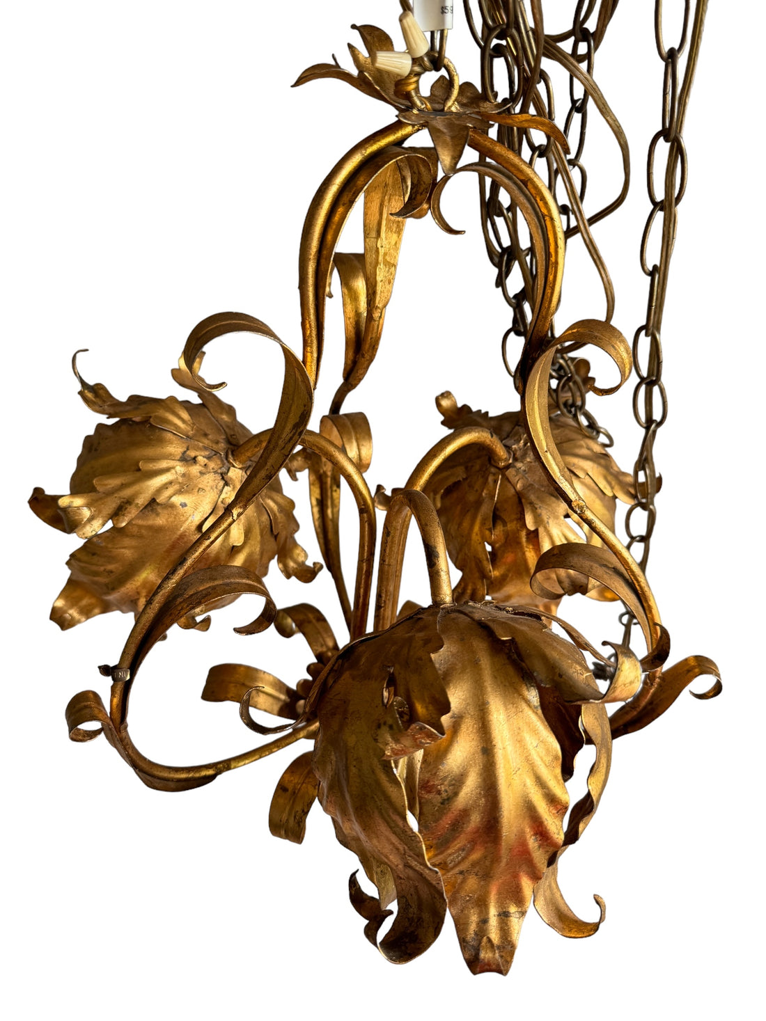 Italian gold Gilt Lotus Pendant Lamp Light