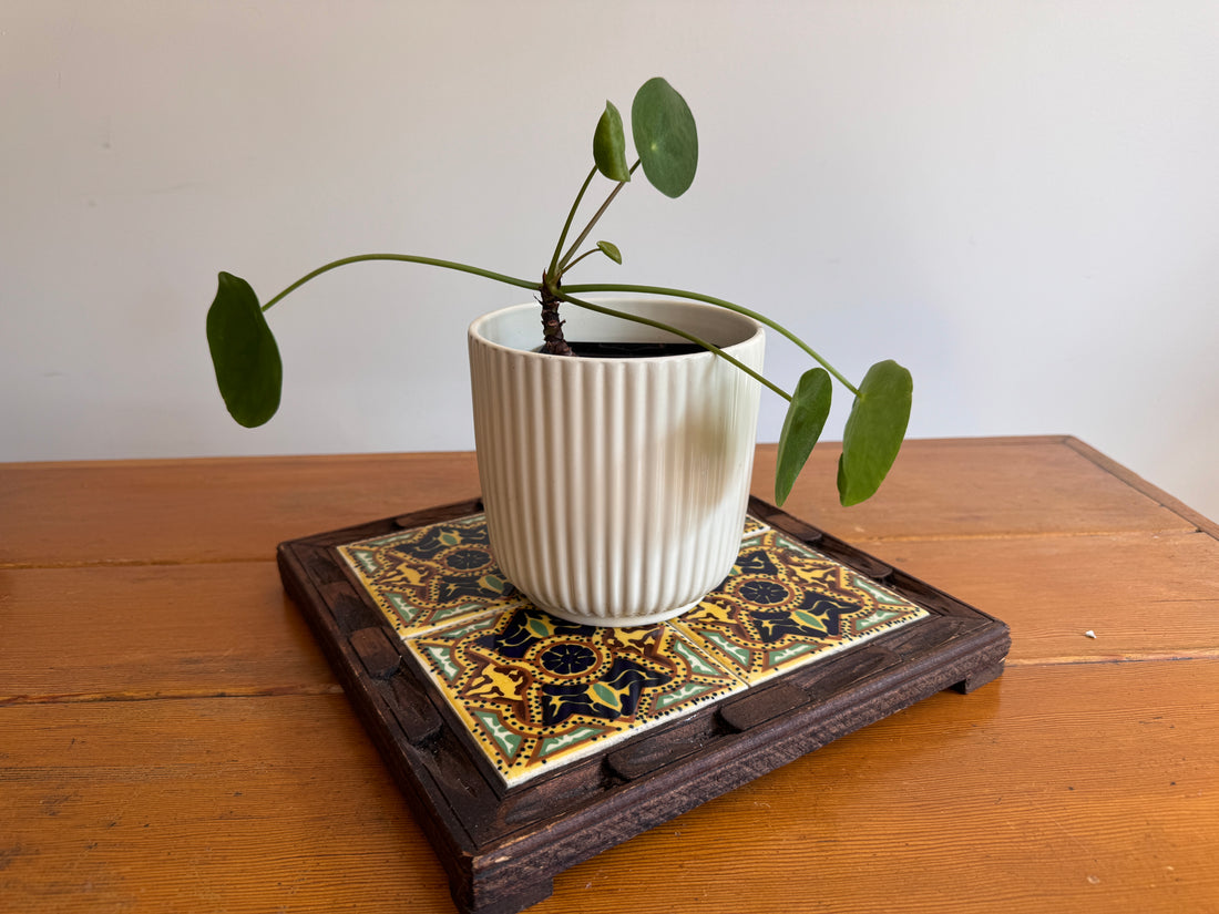 Carved wood and painted tile tray