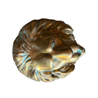 Large Brass European Lion Head Wall Mounted