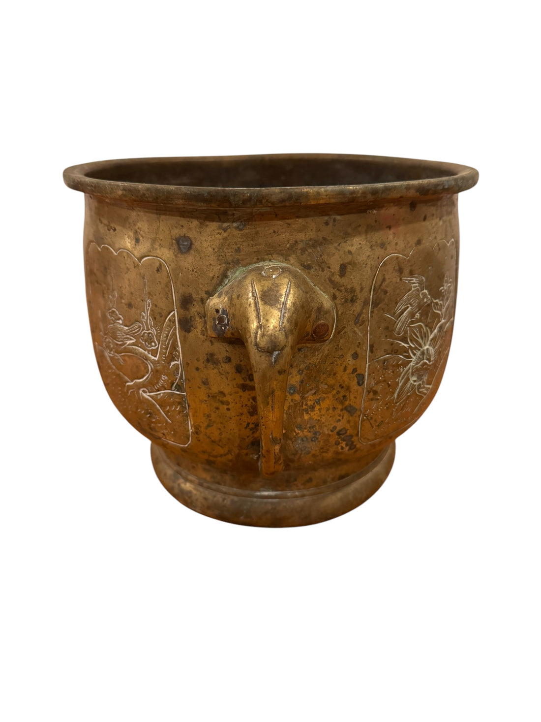brass plant pots Large Brass Etched Plant Pot with Elephant Handles – Portland Revibe