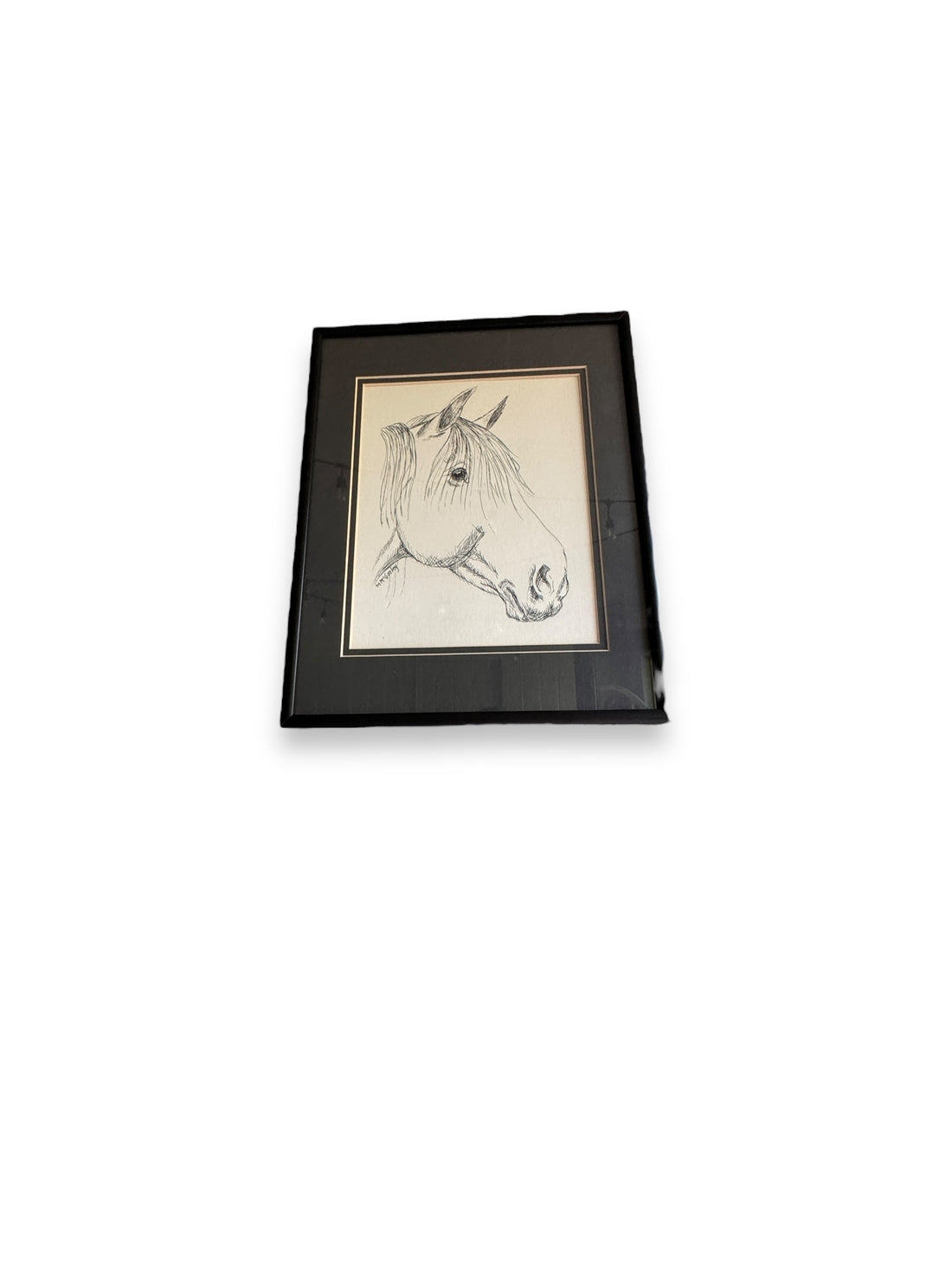 Ink Portrait of a Horse - WA Local Artist