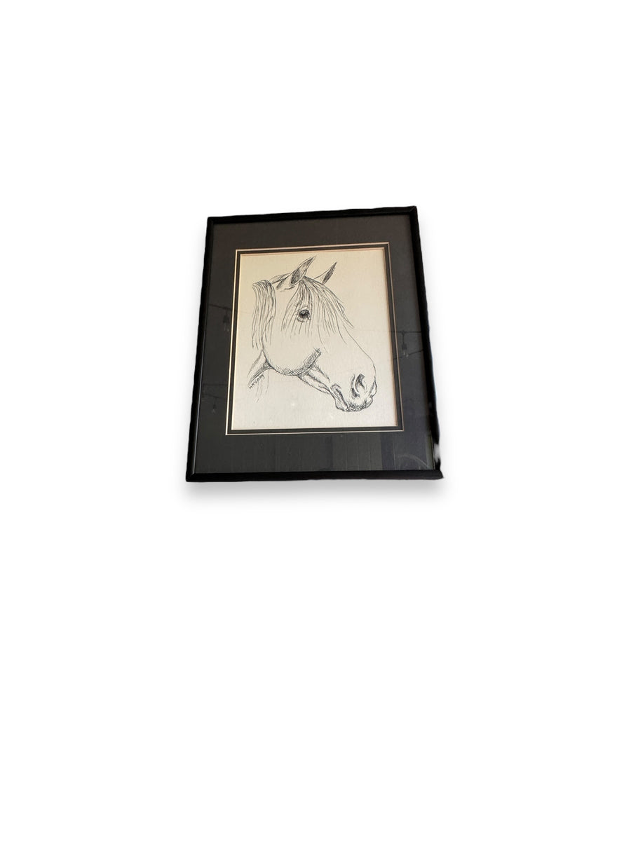 Ink Portrait of a Horse - WA Local Artist